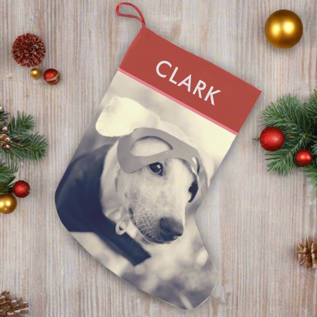 Meia De Natal Pequena Nome Personalizado e Foto Pet l Cachorro Cachorro  (Criador carregado)