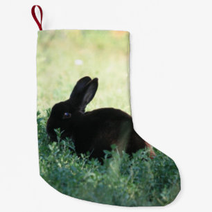Meia De Natal Pequena O dobro preto do coelho de Lil tomou partido