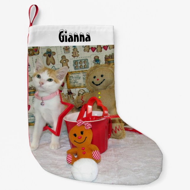 Meia De Natal Pequena O Gato e o Gengibre da Annie são personalizados (Frente)