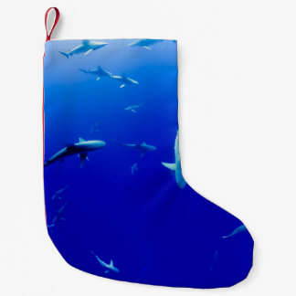 MEIA DE NATAL PEQUENA O MAR