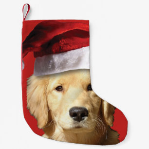 Meia De Natal Pequena Ouro Retriever Santa Claus