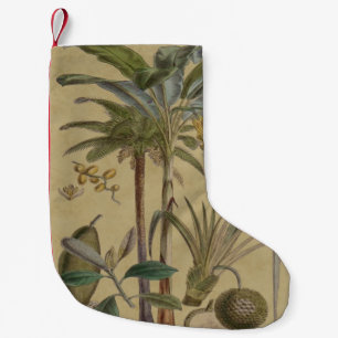 Meia De Natal Pequena Palm Antique Fruta Tropical Arte Botânica