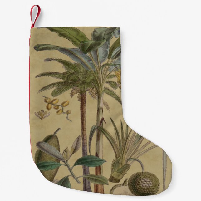 Meia De Natal Pequena Palm Antique Fruta Tropical Arte Botânica (Frente)