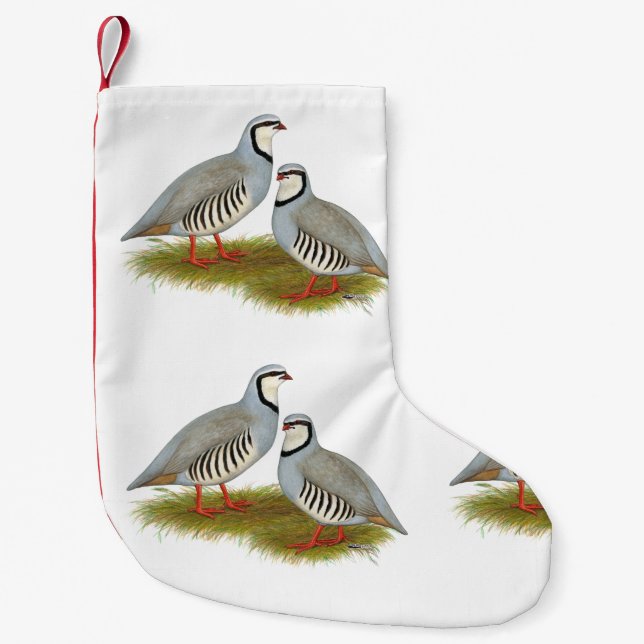 Meia De Natal Pequena Par de Chukar Partridge (Frente)