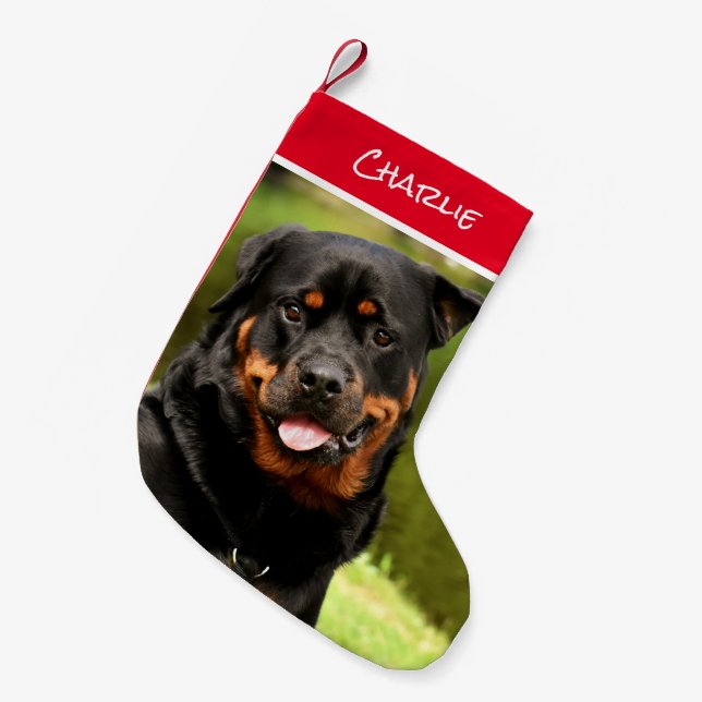 Meia De Natal Pequena Parada de Natal do Rottweiler (Frente (Pendurada))