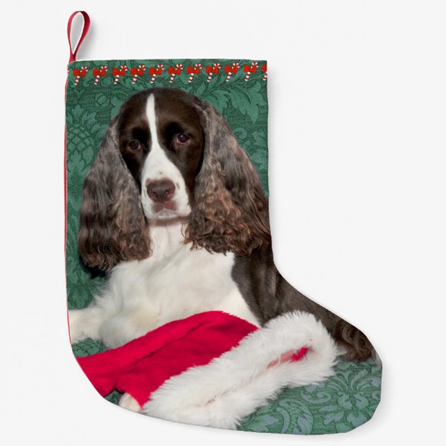 Meia De Natal Pequena Parada de Natal Inglês Springer Spaniel (Frente)