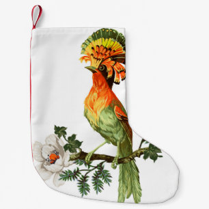Meia De Natal Pequena Pássaro do Paraíso e flores exóticas em uma bas