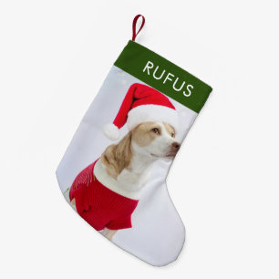 Meia De Natal Pequena Pata De Cão Que Pensava Foto De Natal Personalizad