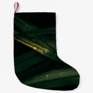 MEIA DE NATAL PEQUENA PEDAÇOS DE ÁGUA NA FOLHA VERDE