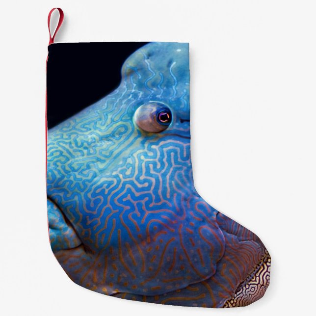 Meia De Natal Pequena Peixe azul (Frente)