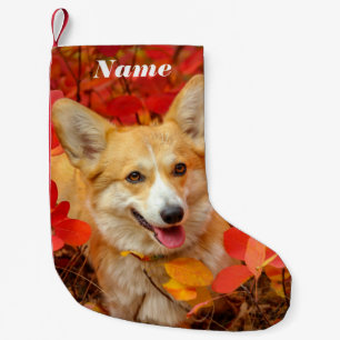 Meia De Natal Pequena Pembroke Welsh Corgi Puppy Dog em Folhas Vermelhas
