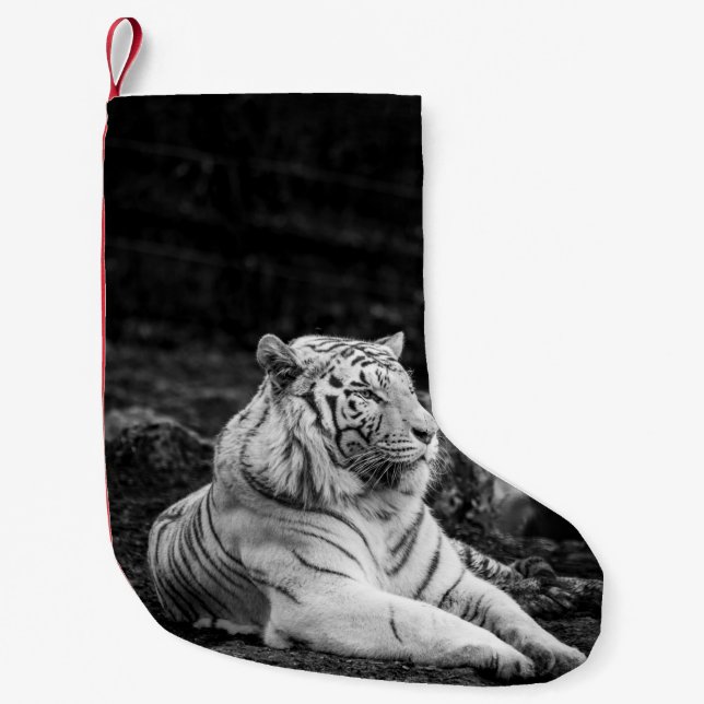 MEIA DE NATAL PEQUENA PENSAMENTO DE TIGER (Frente)