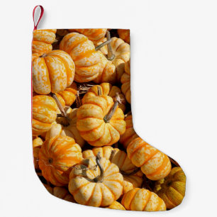 Meia De Natal Pequena pequenas abóboras na pilha