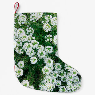 Meia De Natal Pequena Pequenas flores brancas na grama durante o dia em