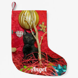 Meia De Natal Pequena Personalizado - A Reserva de Natal de Kimba (Cat)