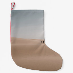 MEIA DE NATAL PEQUENA PESSOA CAMINHANDO NA AREIA MARROM DURANTE O DIA