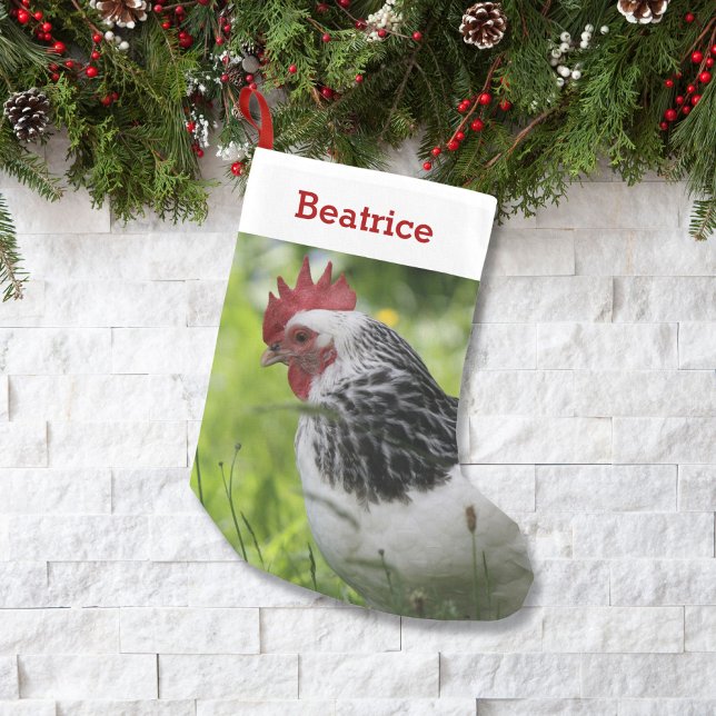 Meia De Natal Pequena Pet Chicken Lover Foto e Nome Personalizados (Criador carregado)