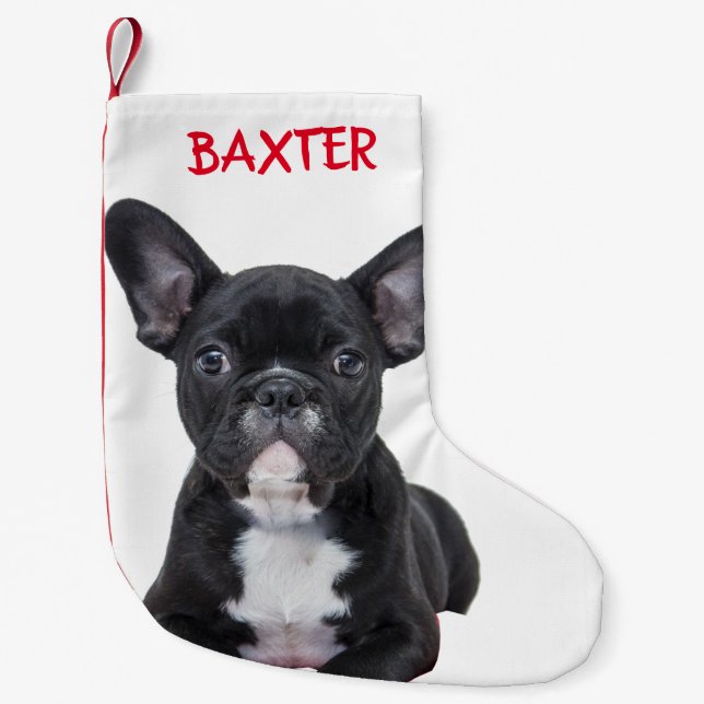 Meia De Natal Pequena Pet French Bulldog Dog Photo Personalized   (Frente)