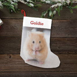 Meia De Natal Pequena Pet Hamster Lover Fotografia e Nome Personalizados