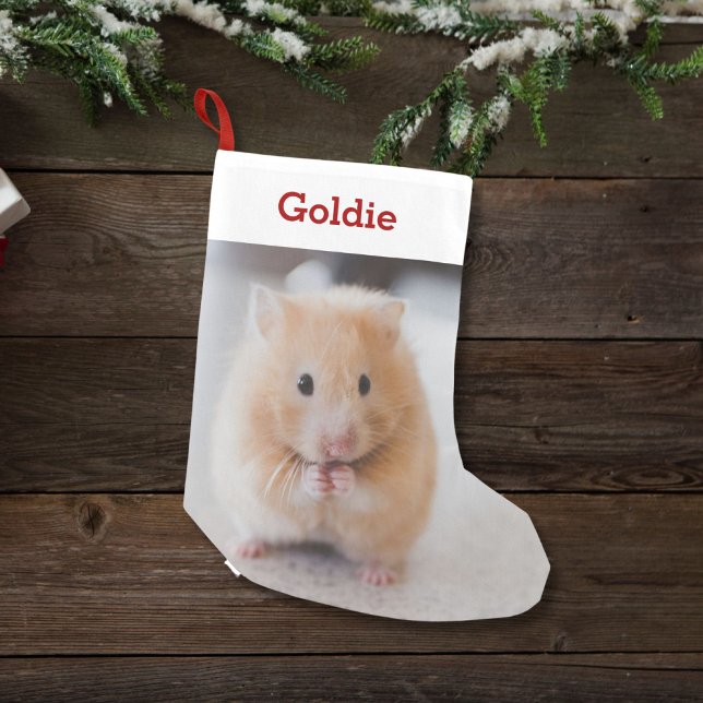 Meia De Natal Pequena Pet Hamster Lover Fotografia e Nome Personalizados (Criador carregado)