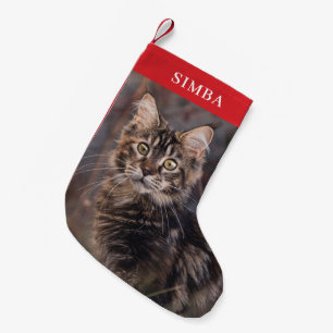 Meia De Natal Pequena Pet Personalizado de Foto de Cat