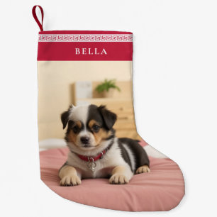 Meia De Natal Pequena Pet Personalizado de Natal Bonito Nome Foto Meande