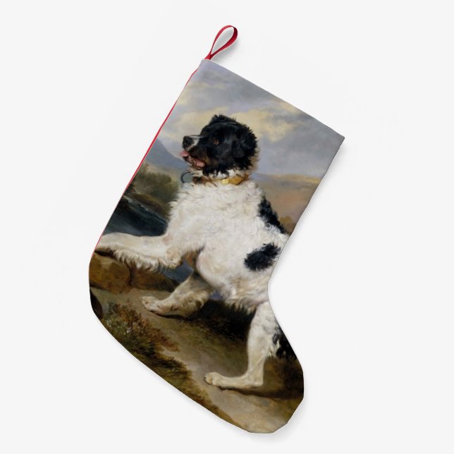 Meia De Natal Pequena Pintura de Cão na Terra Nova (Frente (Pendurada))