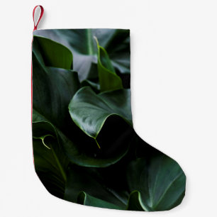 MEIA DE NATAL PEQUENA PLANTA VERDE