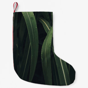MEIA DE NATAL PEQUENA PLANTA VERDE