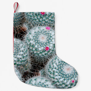 Meia De Natal Pequena Plantas de Cactus com Flores Rosa Pequenas