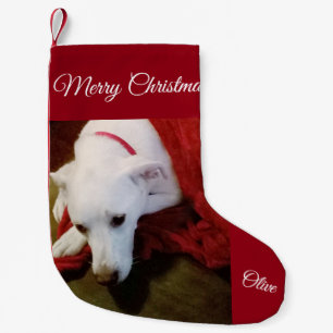 Meia De Natal Pequena Pô de Natal de Cachorro Branco e Bonito