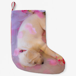 Meia De Natal Pequena Puppy Sleepy Veil 01