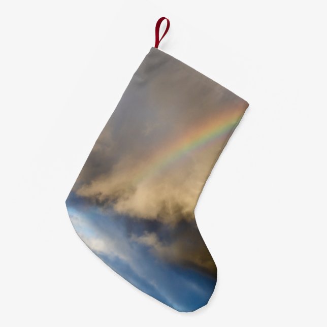 Meia De Natal Pequena rebelião arco-íris (Frente (Pendurada))