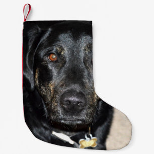 Meia De Natal Pequena Respingo bonito da menina