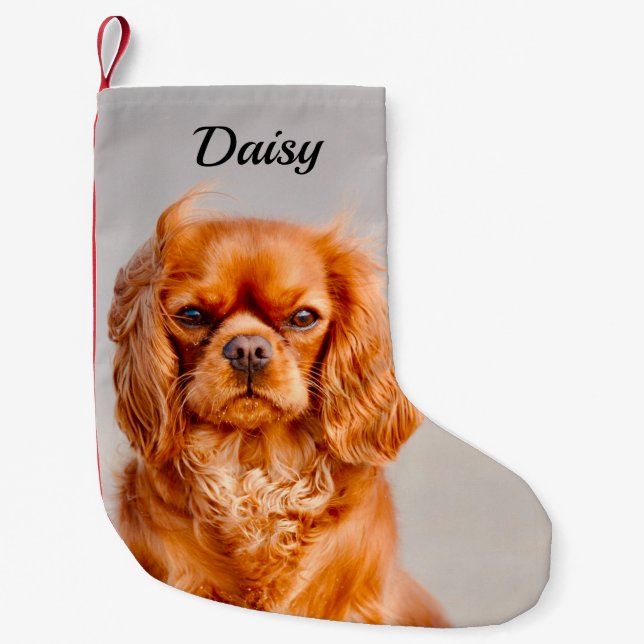 Meia De Natal Pequena Ruby Cavalier King Charles Spaniel Dog (Frente)