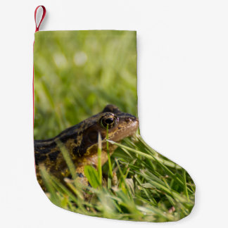 Meia De Natal Pequena Sapo