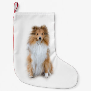 Meia De Natal Pequena Sheltie Shetland Sheepdog