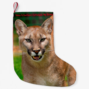 Meia De Natal Pequena Tenha um Natal Purrfeito