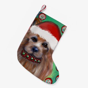 MEIA DE NATAL PEQUENA TERRIER AUSTRALIANO