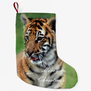 Meia De Natal Pequena Um tigre de bebê bonito