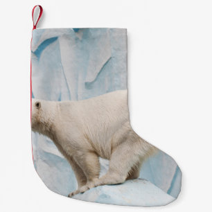 Meia De Natal Pequena Urso Polar: Vislumbre Zoo Habitat