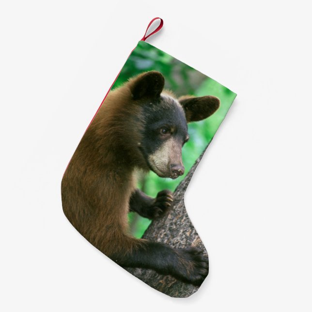 Meia De Natal Pequena Urso preto nas madeiras (Frente (Pendurada))