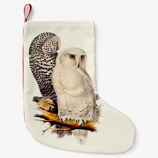 Meia De Natal Pequena Vintage Snowy Owl Drawing (Frente)