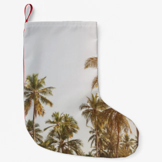 Meia De Natal Pequena Visão Cênica de Palm Beach