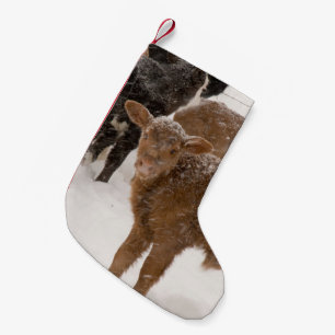 Meia De Natal Pequena Vitelas na neve