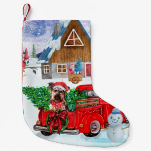 Meia De Natal Pequena Yorkshire Terrier Dog No Caminhão De Entrega De Na