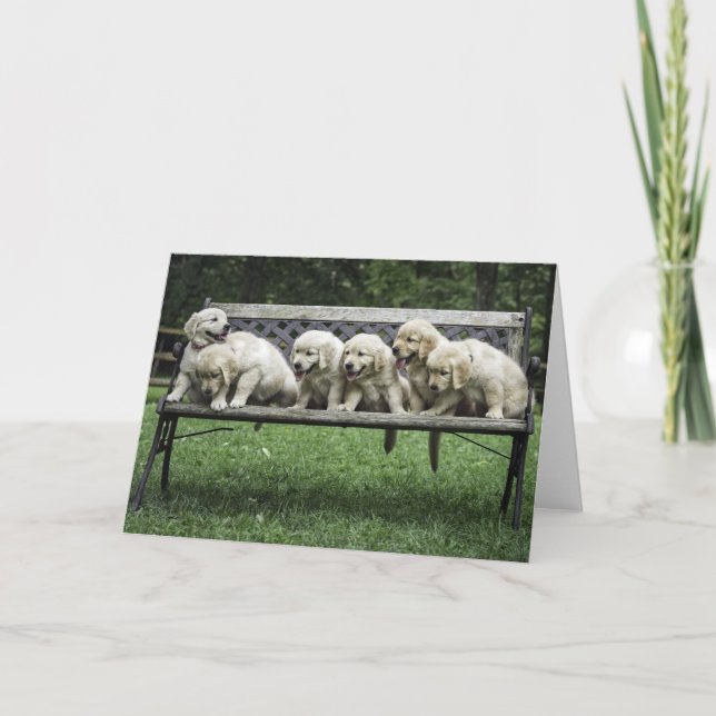 Meia dúzia de cartão com fotos de banco de Holly (Frente)