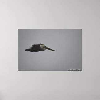 Meia Lua Bay Fierce Pelican III - Canvas