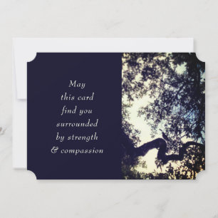 Meia-Noite Blue Birds Trees Sympathance Bereavemen