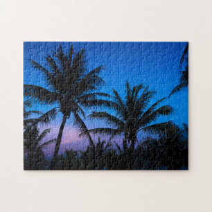 Meia-noite Palms Quebra-cabeça